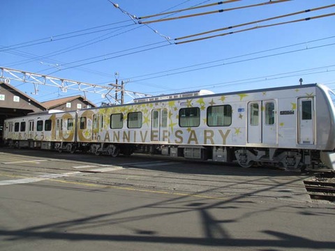 A3006