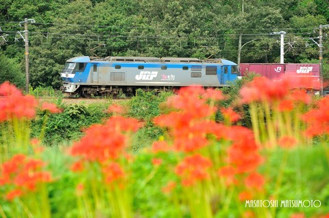 D3K_3298n