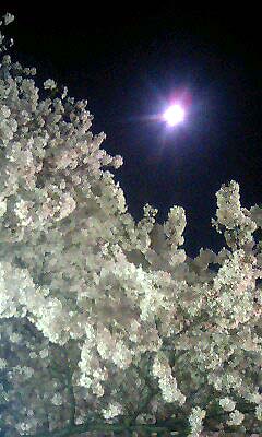 HS-20090427-03