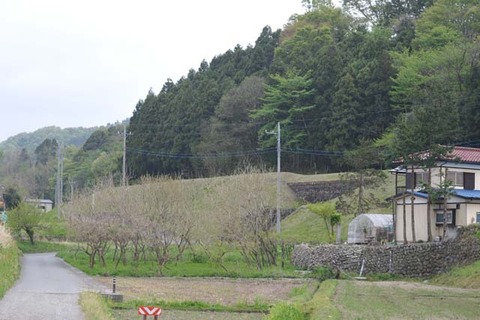 MT-20110519-01