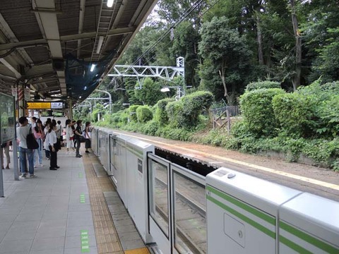 DSCN0391