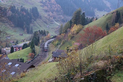 IMG_0527