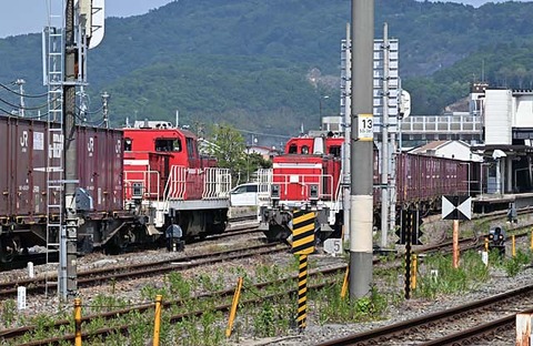 8IA_9498