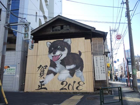 DSCN6982