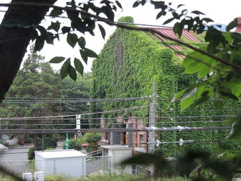 DSCN9090