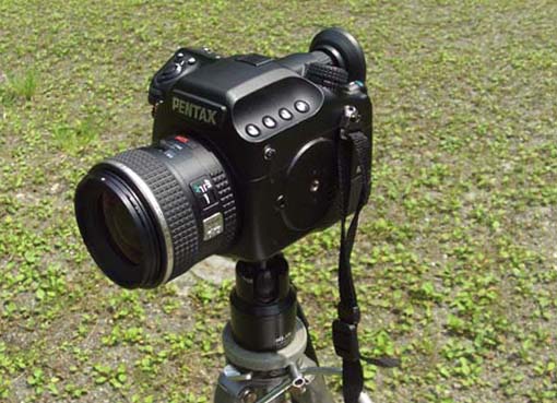 ショット数1247枚 Pentax 645D 狩る ペンタックス デジタルカメラ