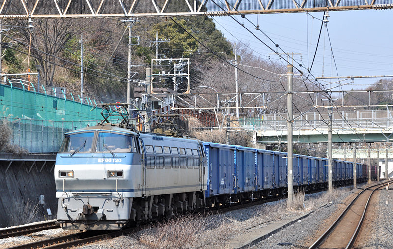 Amazon.co.jp: 寺井商店 ダイヤ 車両輸送列車 フリクション