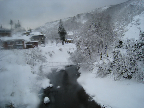 WM-20100116-04