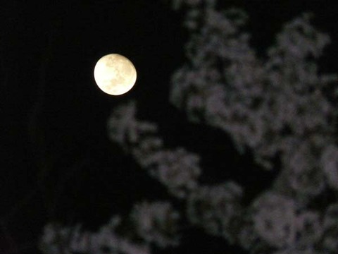 HS-20090427-01