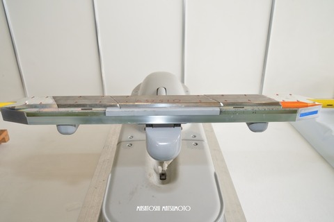 D4R_7155n