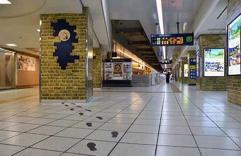 D5D_8988