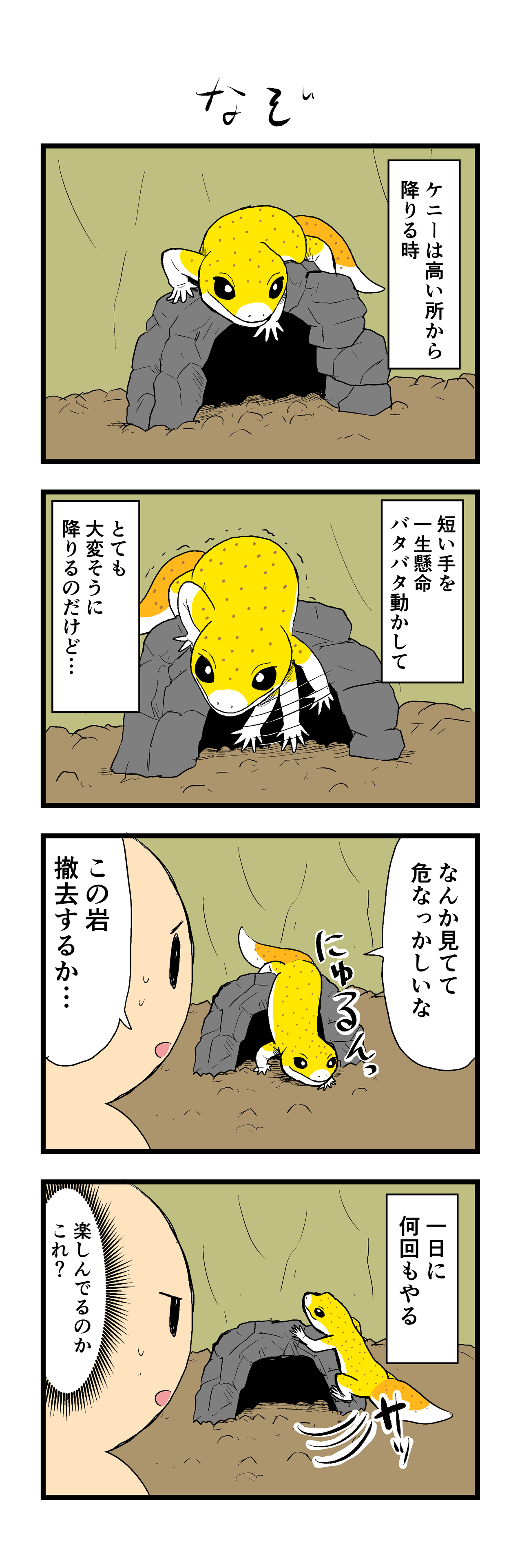 高い 所 から 降りる 夢