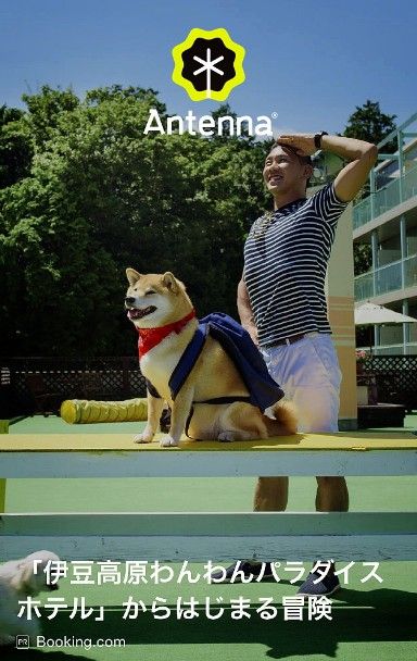 antenna_旧1