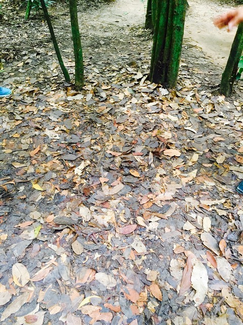 2016-09-25-12-01-52