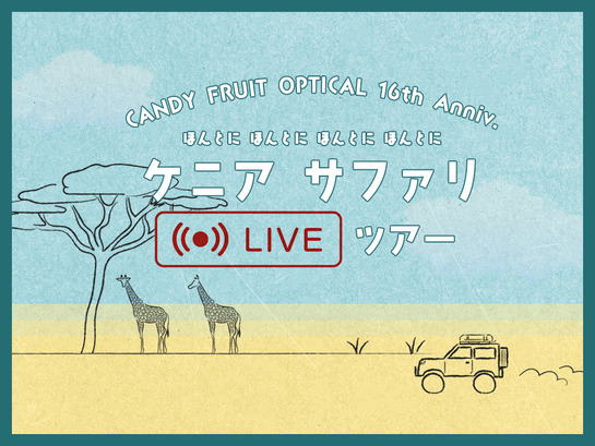 CandyFruitOptical_16th_top
