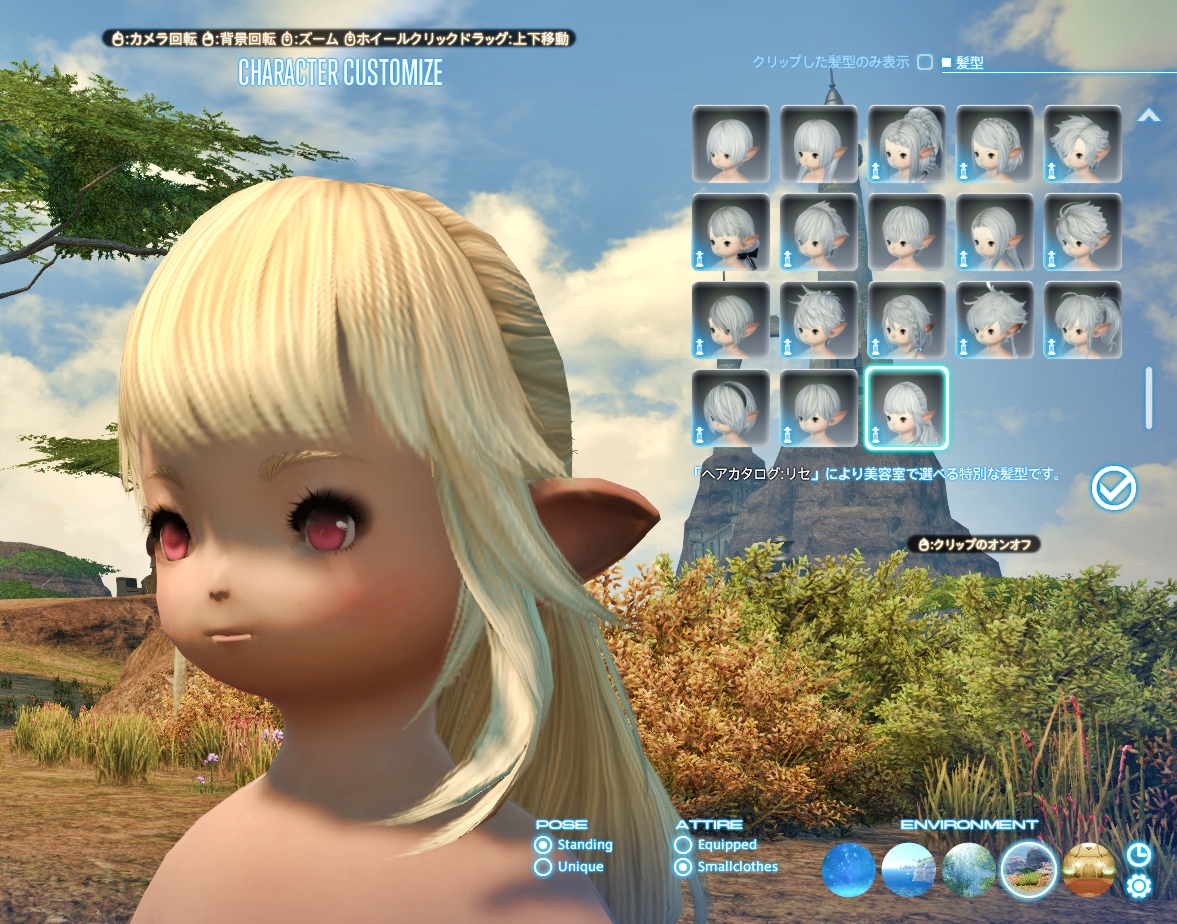 Ff14 リセさんの衣装を買ってみたのだ メルメルダイアリー
