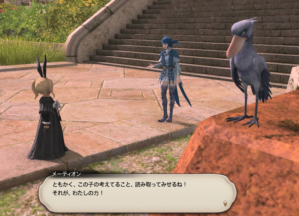 FF14 ff14