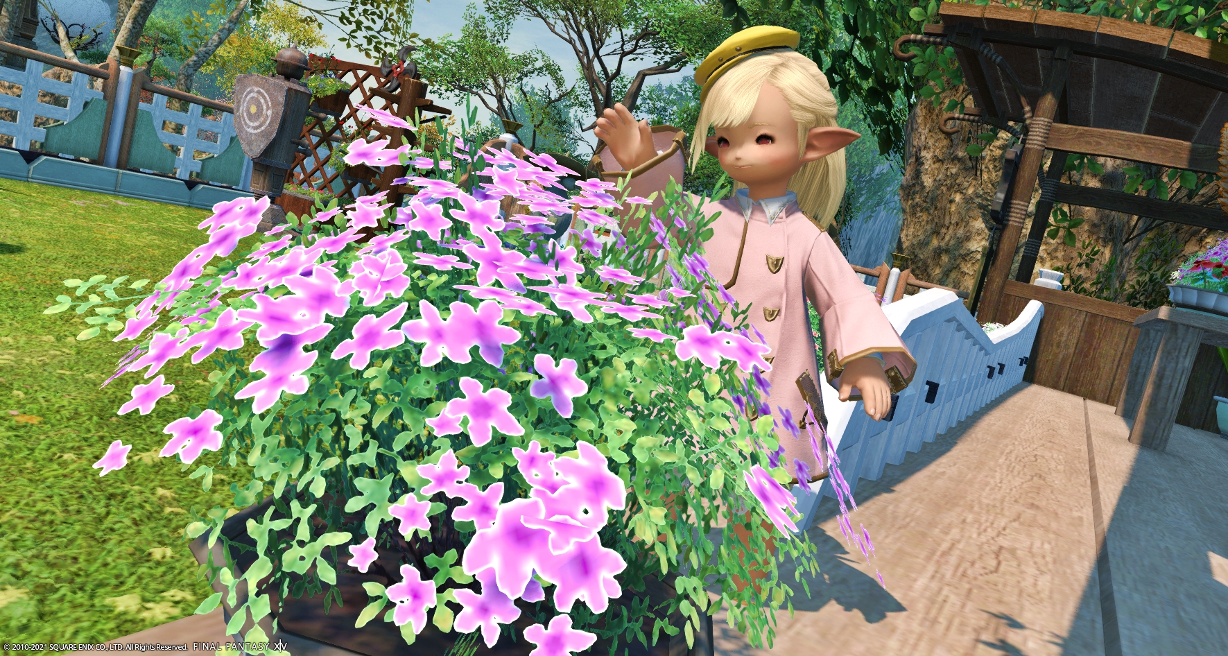 Ff14 アレキ起動編4でラーニングなのだ メルメルダイアリー Ff14 アレキ起動編4でラーニングなのだ メルメルダイアリー