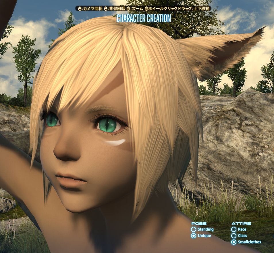 Ff14 キャラ作成のお話なのだ その メルメルダイアリー