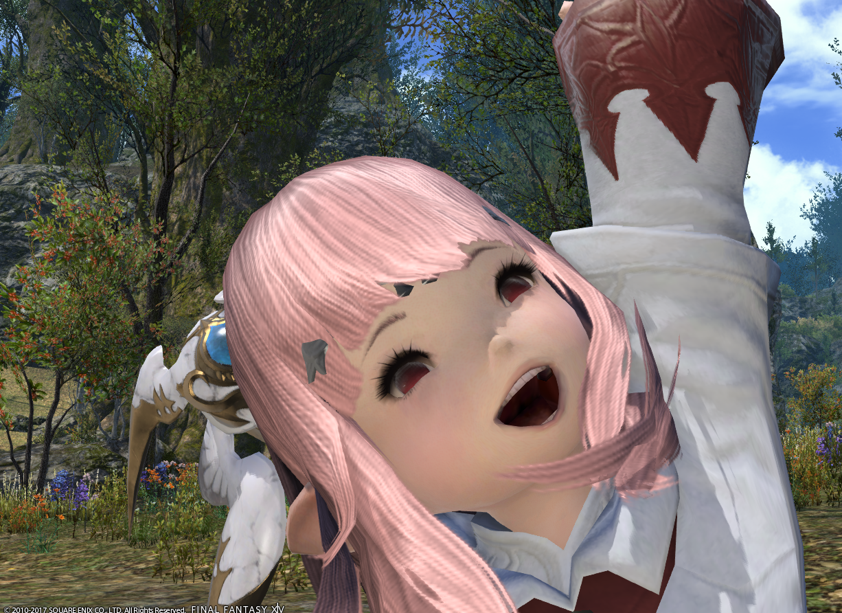 Ff14 幻想薬でキャラメイクを楽しむのだ メルメルダイアリー