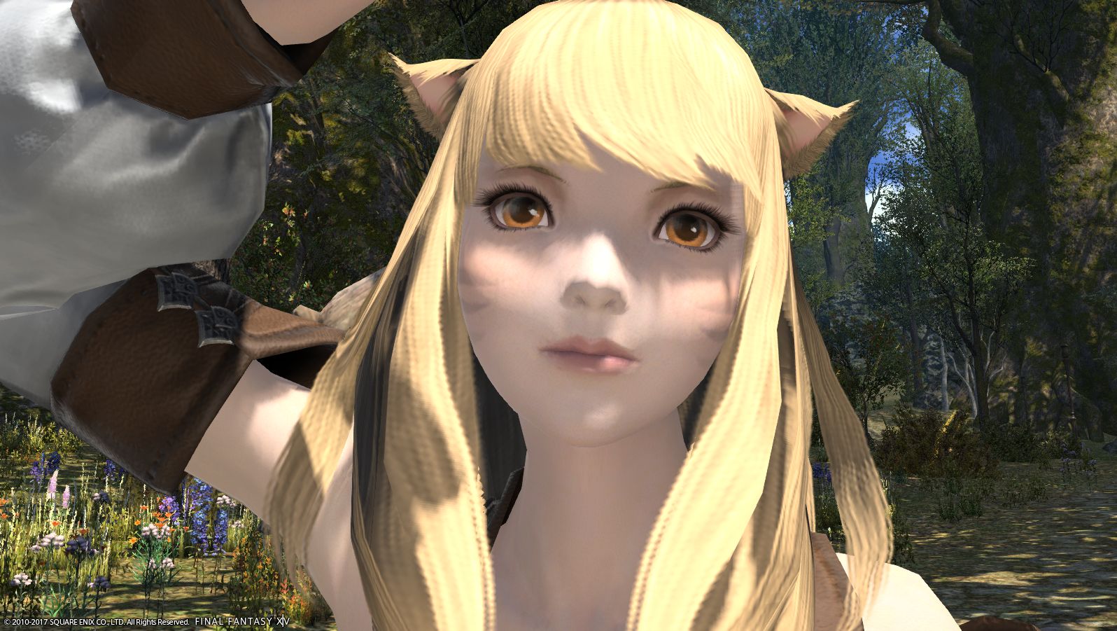 Ff14 幻想薬でキャラメイクを楽しむのだ メルメルダイアリー Ff14 幻想薬でキャラメイクを楽しむのだ メルメルダイアリー