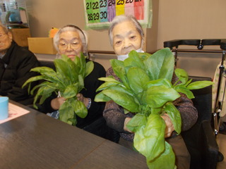 DSCN7190