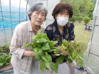 DSCN7202
