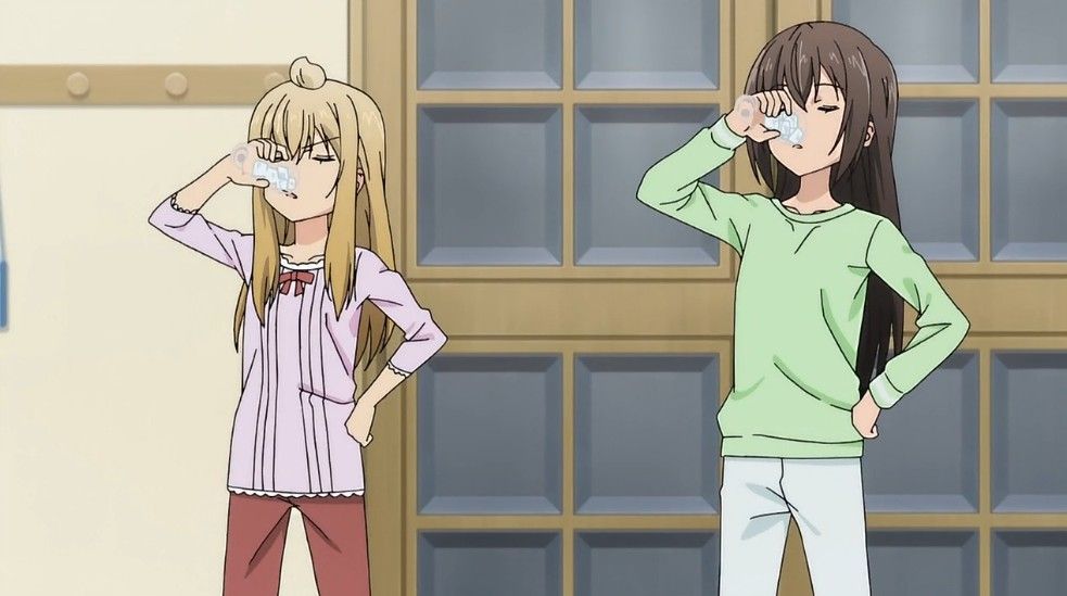 みなみけ ただいま 5話感想まとめ ゆるゆるスク水千秋に D ﾊｧﾊｧ 藤岡の保坂化が進んでいる もえぶたそくほ