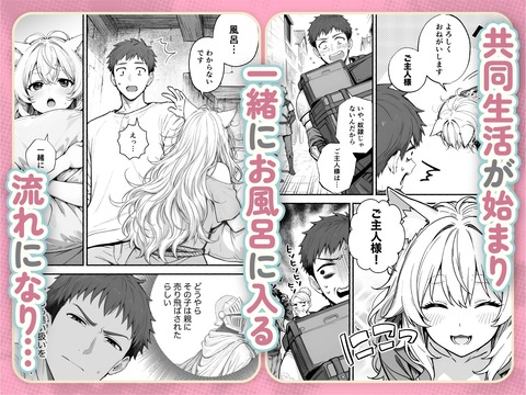 d_733702jp-004