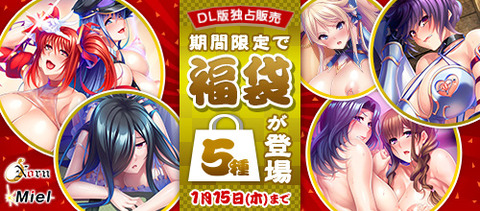 pdg_fukubukuro_178082_500_220