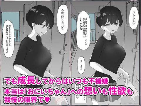 d_627297jp-003
