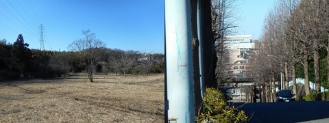 DSCN0775-1
