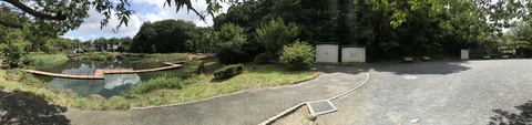 IMG_0140