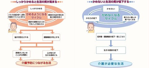 歯03