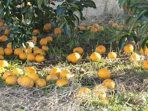IMG20221225143738