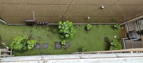 IMG20230602093933