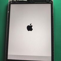 IMG_20220302_163049