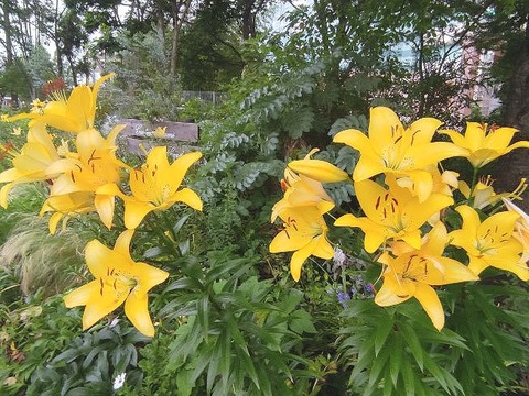 IMG_20220622_173103