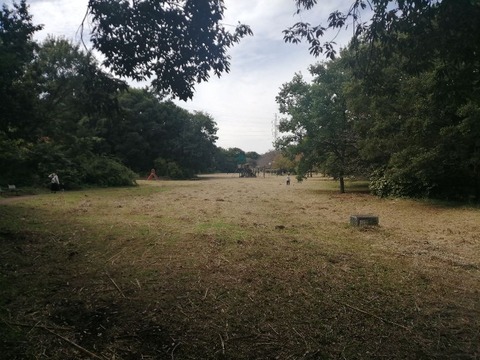 ぐ たら爺の奮闘記 旧 もえぎ野爺 年10月 ぐ たら爺の奮闘記 旧 もえぎ野爺 年10月