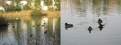 IMG_0183-1