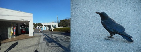 DSCN0777-1