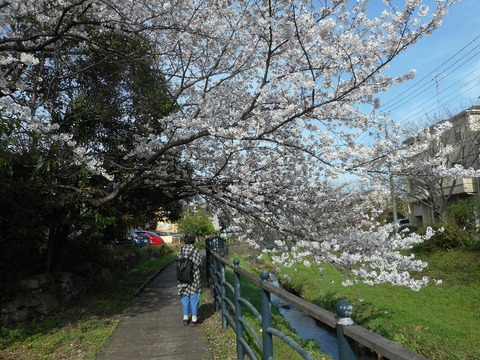 DSCN1005