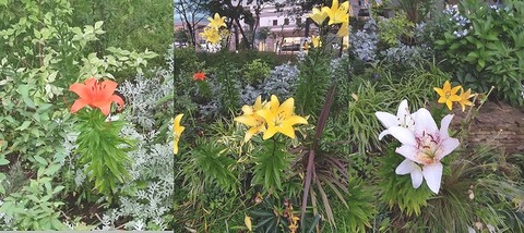 IMG_20220622_173038