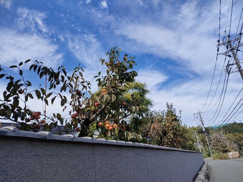 IMG20221023124323