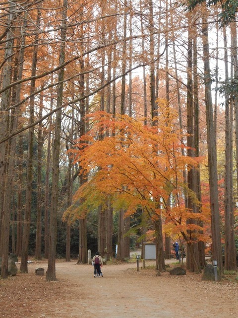 DSCN0643