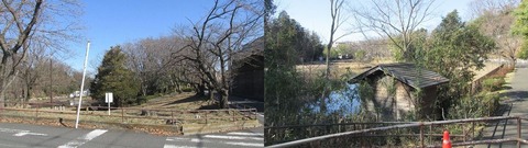 IMG_0390-11