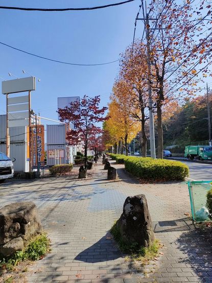 IMG20221103102653