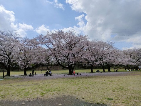 IMG20230330110741