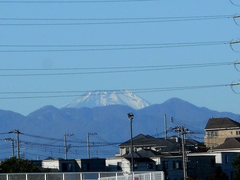 DSCN0442