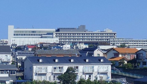 IMG20231012093458